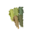 Wilderness Explorer