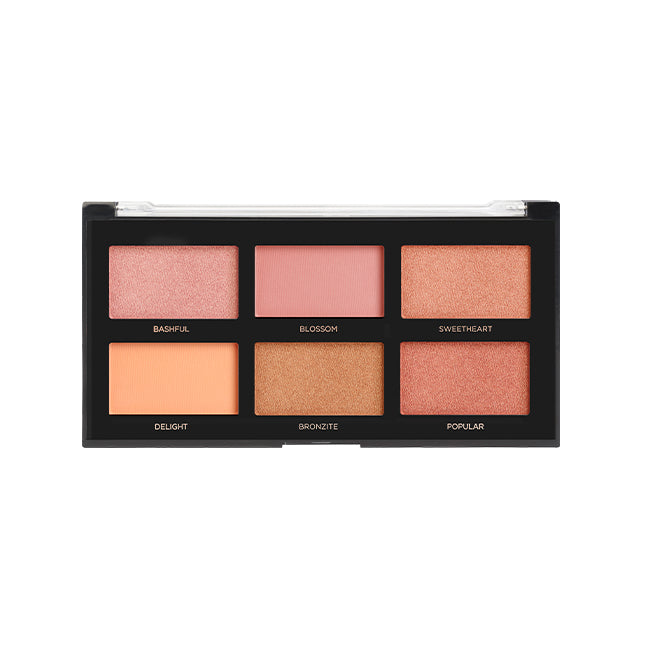 blush i,6 shade blush palette 